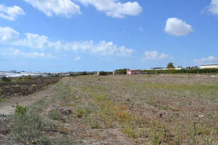  Agricultural land 10336 Sq.m.