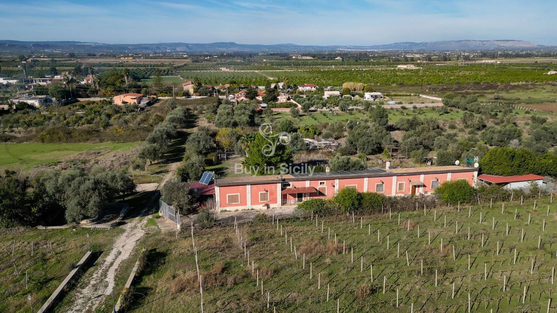 Meraviglioso terreno coltivato a vigneto ed uliveto con villa e fabbricati rurali, sito a Siracusa